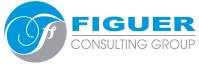logo figuerconsulting